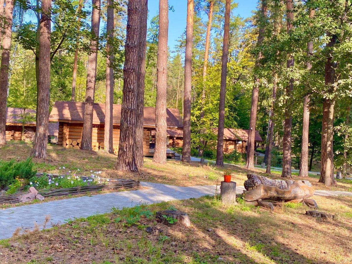 Resort Stariy Prud Pylypovychi Exteriör bild