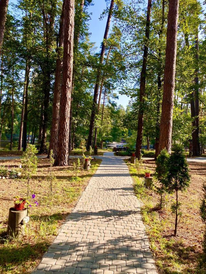 Resort Stariy Prud Pylypovychi Exteriör bild